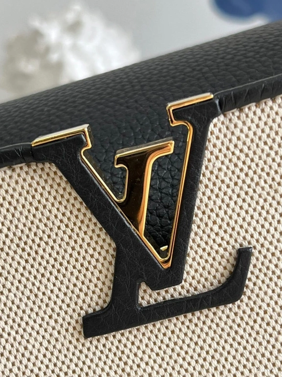 BB VUITTON CAPUCINES LOUIS 0817